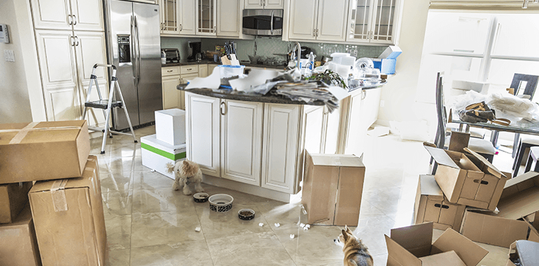 What are common mistakes when downsizing your home? Part Two - Winnipeg Downsizing - Residential Downsizing Winnipeg - Winnipeg Junk Removal - Kloos Hauling & Demolition